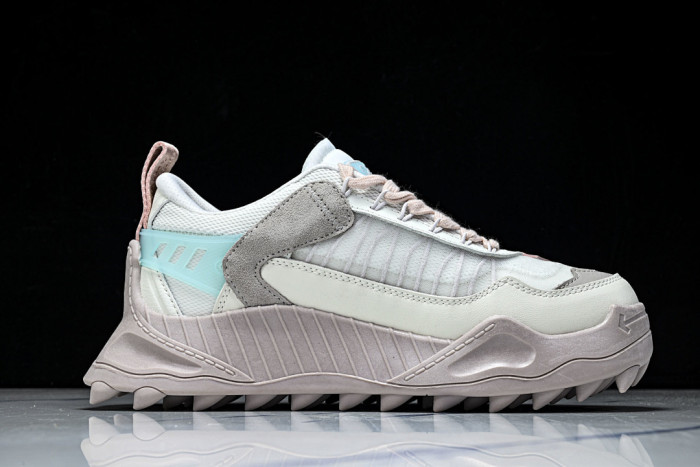 OFW SNEAKER